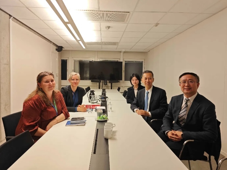 中國駐瑞典大使崔愛民會見瑞典聯(lián)合國教科文組織全國委員會秘書長。中國駐瑞典大使館供圖