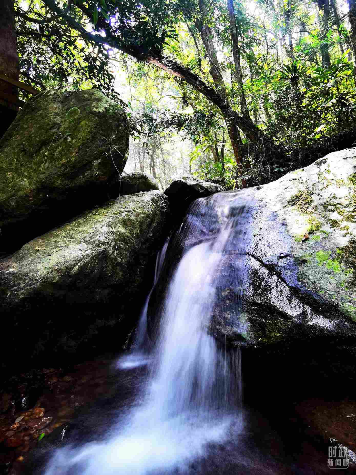 海南五指山。（總臺央視記者劉琦拍攝）