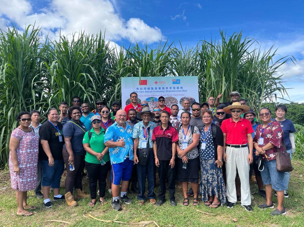 2024年2月28日，來自巴布亞新幾內(nèi)亞、湯加、庫克群島、薩摩亞、瑙魯?shù)葒?guó)家的“太平洋島國(guó)菌草技術(shù)培訓(xùn)班”學(xué)員在斐濟(jì)布拉阿格魯菌草技術(shù)示范基地合影。新華社發(fā)（中國(guó)援斐濟(jì)菌草技術(shù)示范中心供圖）