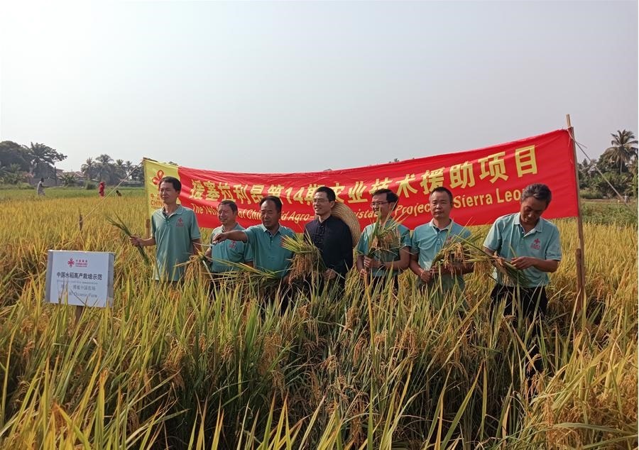 中國駐塞拉利昂大使王擎和援塞農(nóng)業(yè)專家組合影。中國援塞農(nóng)業(yè)專家組供圖