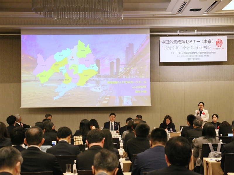 地方代表進行專題投資推介。人民網(wǎng) 許可攝