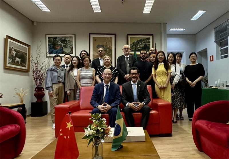 圖為參加座談會(huì)的來(lái)賓合影留念。 圣保羅州立大學(xué)孔子學(xué)院供圖