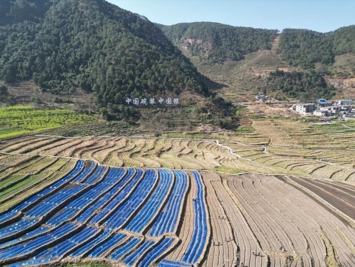 △近日，四川涼山一現(xiàn)代農(nóng)業(yè)園春耕育秧搶農(nóng)時。