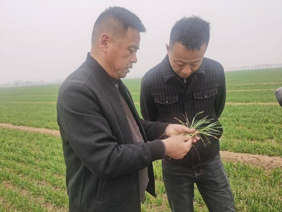 在山東濟(jì)寧汶上縣苑莊鎮(zhèn)，農(nóng)技員黃海龍對(duì)種糧大戶王振現(xiàn)場進(jìn)行春耕指導(dǎo)。人民網(wǎng)記者 車柯蒙攝