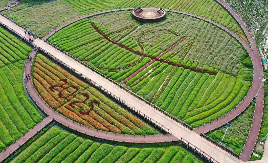 這是3月21日拍攝的瓊海博鰲南強(qiáng)村景色（無人機(jī)照片）。新華社記者 郭程 攝