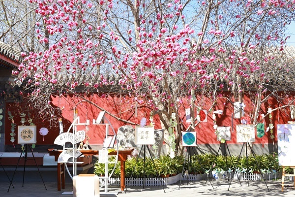 翰墨書(shū)韻展區(qū)的書(shū)法展品。府學(xué)胡同小學(xué)供圖