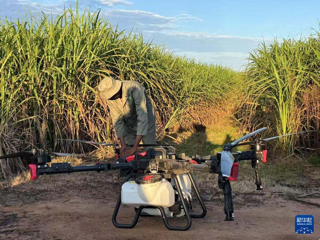 3月25日，在南非夸祖魯-納塔爾省的方廷希爾莊園，工作人員為無人機做起飛作業(yè)前的準備。新華社記者 白舸 攝