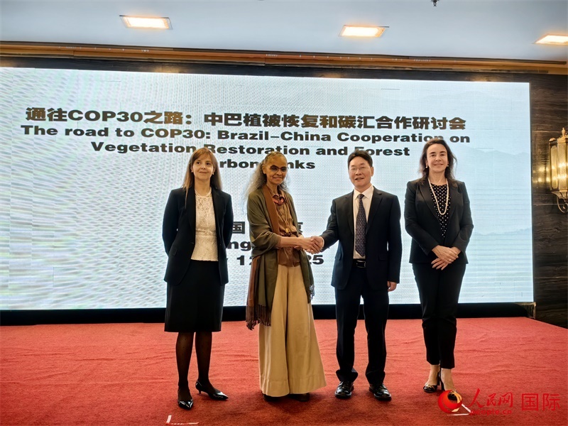 中國(guó)國(guó)家林業(yè)和草原局副局長(zhǎng)李云卿（右二）、巴西環(huán)境和氣候變化部部長(zhǎng)瑪麗娜·席爾瓦（左二）、巴西財(cái)政部副部長(zhǎng)羅熙丹（右一）、巴西駐華大使館公參樂(lè)美（左一）出席“通往COP30之路：中巴植樹造林和碳匯合作研討活動(dòng)”。人民網(wǎng)記者 符園園攝