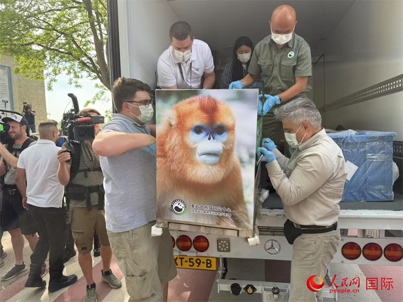 圖為活動現(xiàn)場。人民網(wǎng)記者 牛瑞飛攝