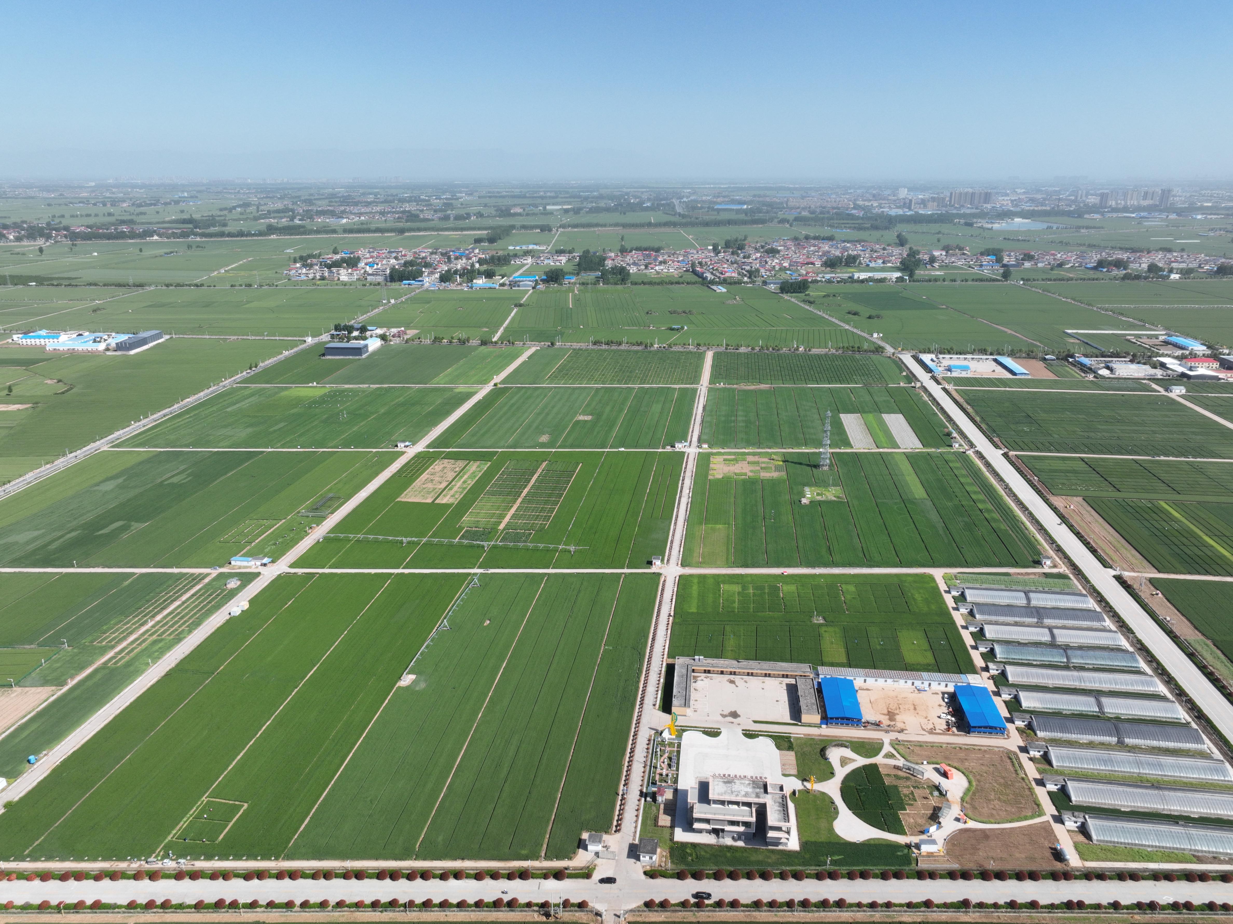 俯瞰水利部灌溉試驗(yàn)總站試驗(yàn)研究基地。受訪者供圖