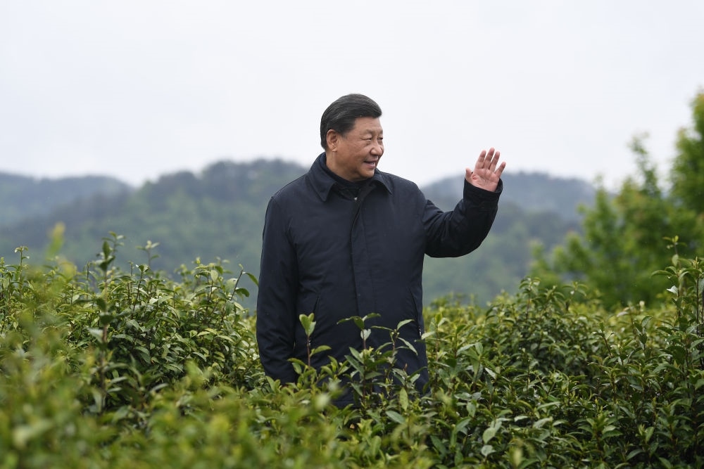 2020年4月21日，習近平總書記來到陜西安康市平利縣老縣鎮(zhèn)，在茶園考察脫貧攻堅情況。新華社記者 燕雁 攝
